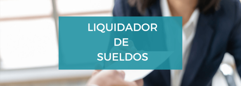 Liquidador de sueldos online